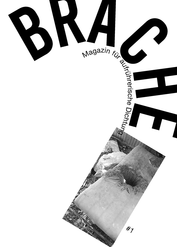 Stephanie Heike Drawing Illustration Brache Magazin für aufrührerische Literatur Literaturmagazin Cover